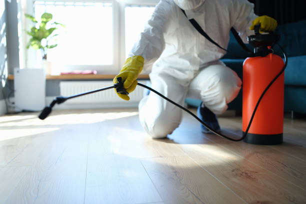 Reliable Infectious Disease Decontamination contractor in Nipomo, CA by Crime Scene Cleaner Online